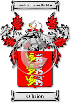 O brien Family Crest Download (jpg) Legacy Series - 150 DPI